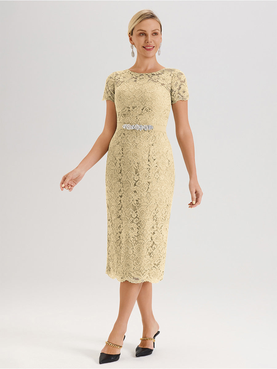 Cicinia Ensemble Champagne Avec Châle Robe Mère De La Mariée Longueur Mi-Mollet En Mousseline Dentelle Col Rond